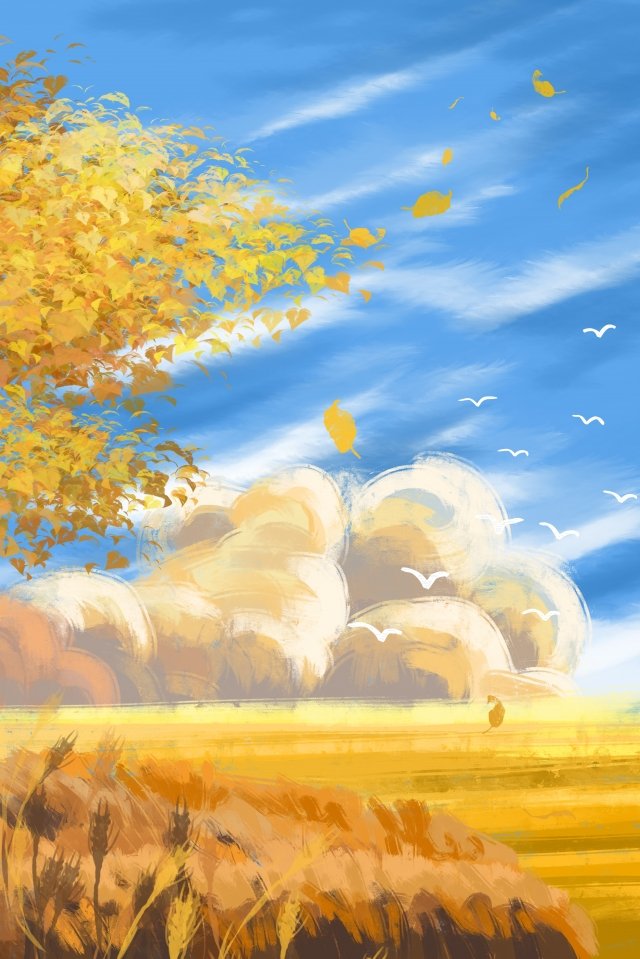 autumnal autumn blue sky white clouds, Wheat Field, Golden Autumn autumn sky white transparent