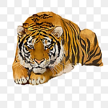 ferocious beast tiger hand painted beast ferocious animal hand painted png, Ferocious, Animal beasts png image
