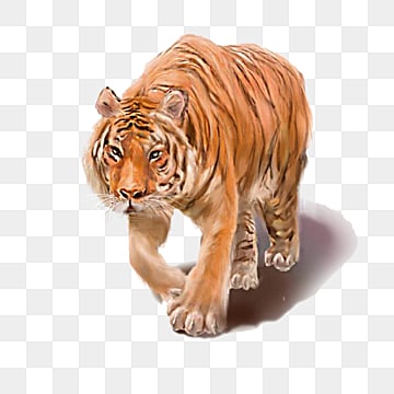 hand painted beast tiger element ferocious animal tiger png, Ferocious, Animal hand painted tiger hd transparent