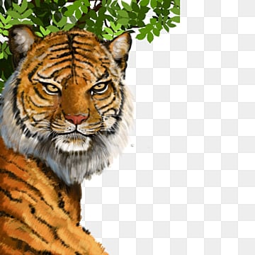 hand painted south china tiger hand drawn tiger tiger cartoon tiger realistic tiger south china tiger domineering hand drawn tiger png, Tiger, South China Tiger tigers png picture