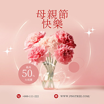 mothers day poster carnation traditional chinese Template