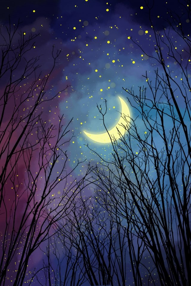 night forest   sky, Beautiful, Silhouette night forest png transparent