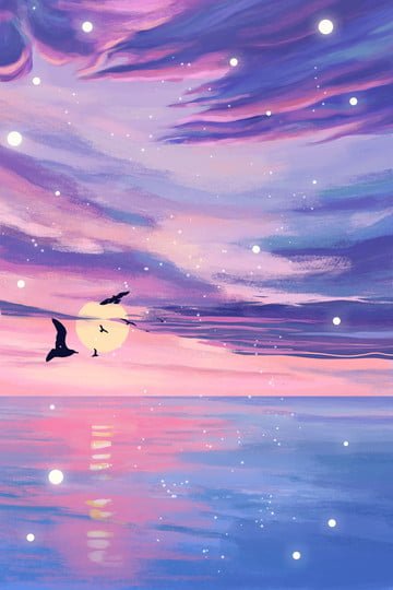 sunset ocean sea level, Dream, Seagull sea level white transparent