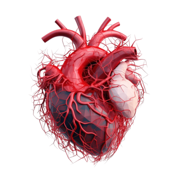 3d heart png generative with ai 3d heart png png, 3d, Heart, Png PNG Image and Clipart