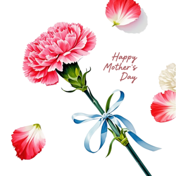 best mothers day wishes with carnations with blue ribbon, Carnation, Mothers Day, Miss PNG Image and Clipart