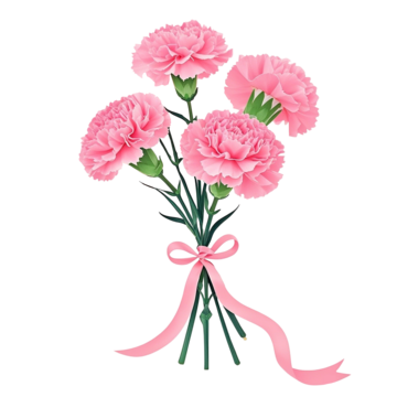 bouquet of pink carnations with simple style colored ribbons on mothers day, Carnation, Mothers Day, Hapiness PNG Image and Clipart
