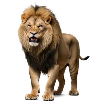 lion 3d animal picture lion 3d lion animal png, Lion, 3d Lion, Animal PNG Image and Clipart