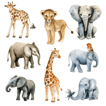 safari watercolor animals animal watercolor baby png, Animal, Watercolor, Baby PNG Image and Clipart