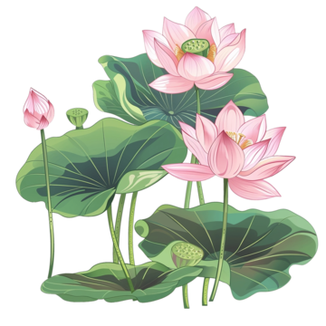 vector drawing lotus lotus lotus drawing wing drawing png, Lotus, Lotus Drawing, Wing Drawing PNG Image and Clipart