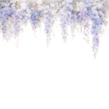 wisteria flower plant border illustration wisteria flower plant frame png, Wisteria Flower, Plant, Frame PNG Image and Clipart